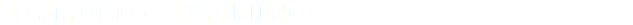 PORTFOLIO — EXPERIENCE